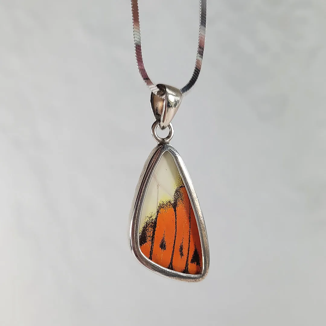 Real Butterfly Wings and Sterling Silver Pendant